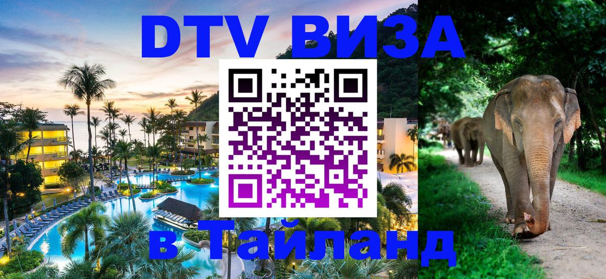 Сколько стоит DTV виза — актуальные цены, оформление даже без документов - Подгорица 